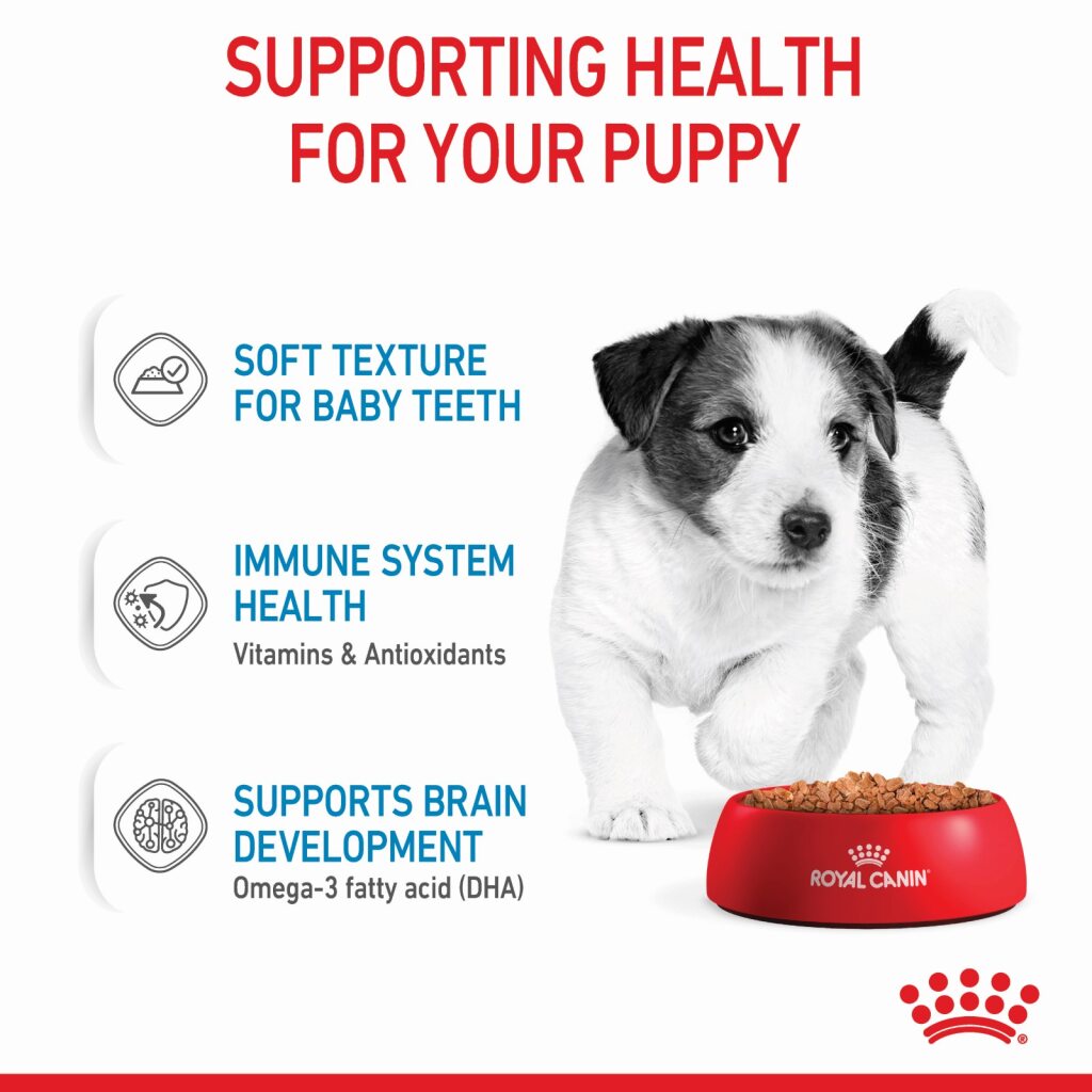 Royal Canin Mini Puppy Wet Food 85g