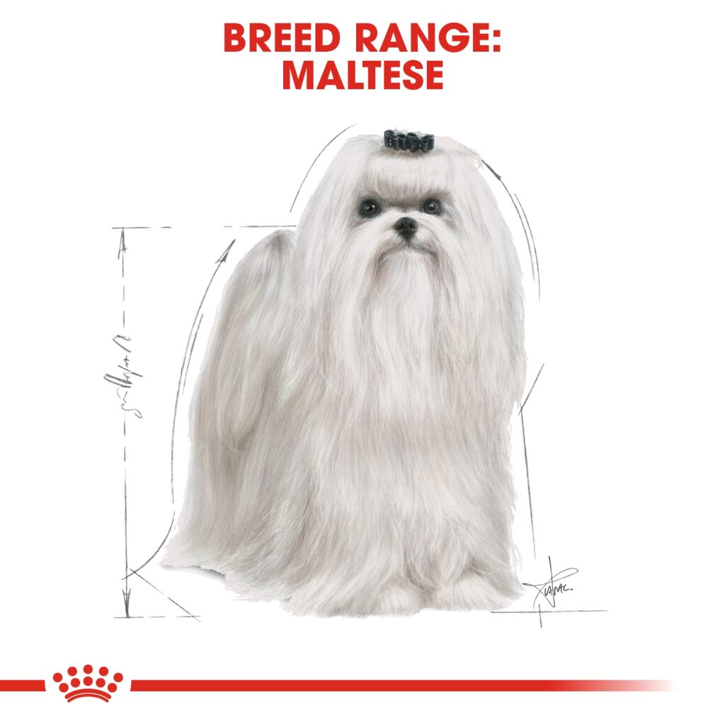 Royal Canin Dog Maltese 1.5kg