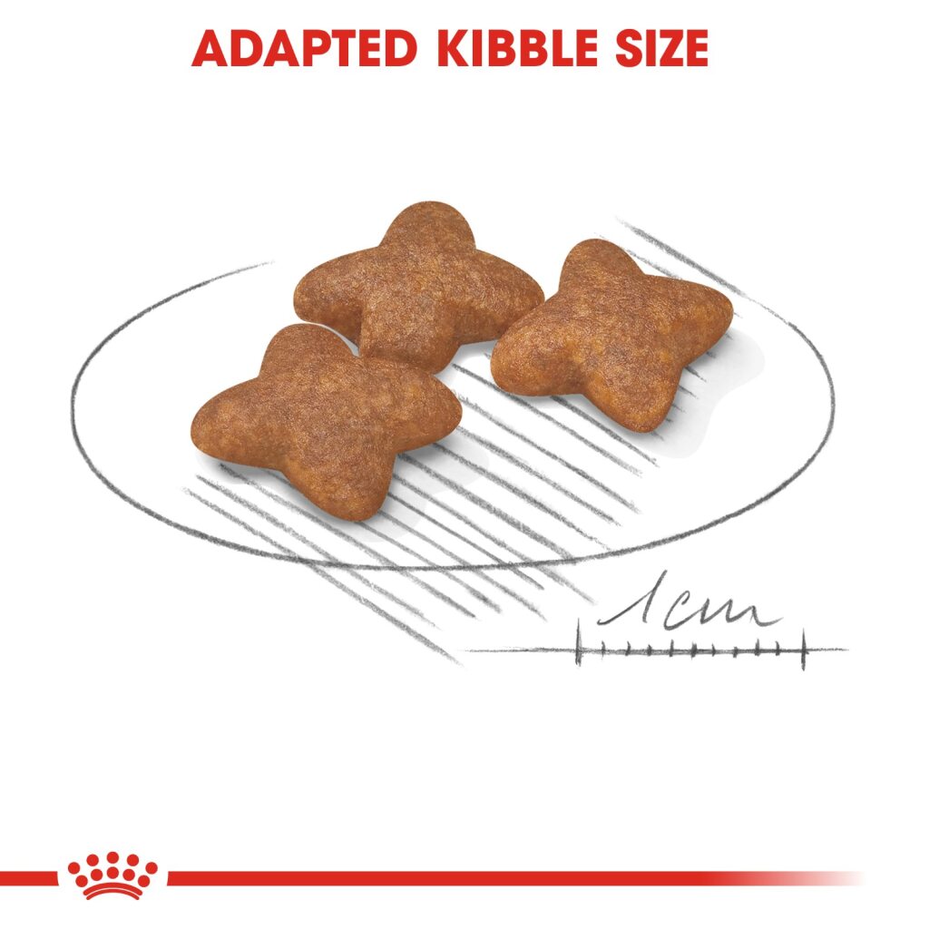 Royal Canin Dog Mini Adult