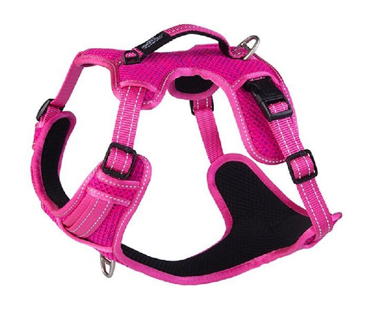 Explore Dog Harness Pink  SMALL
