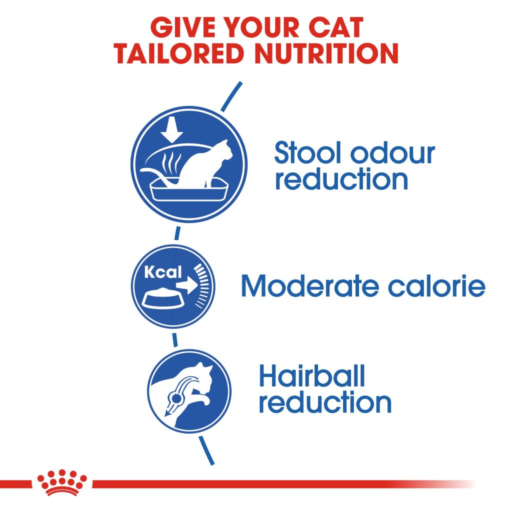 Royal Canin Feline Indoor