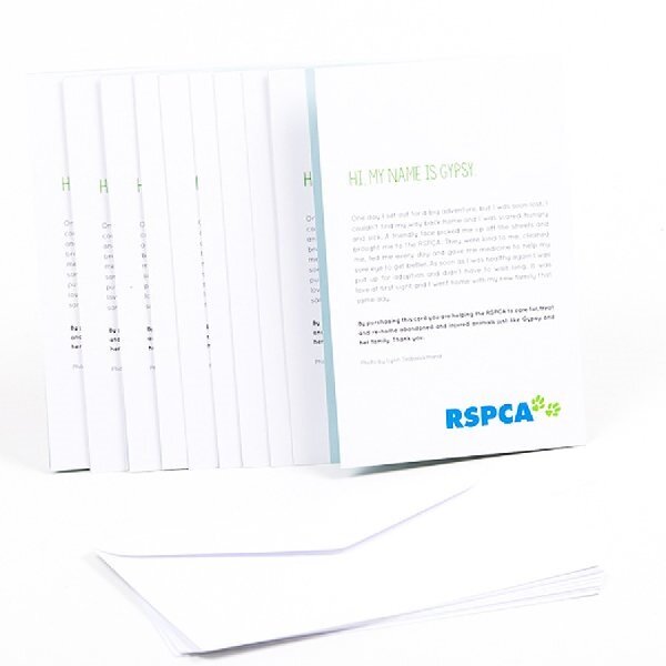 RSPCA Christmas Cards Dog Gypsy 10 Cards & Envelopes