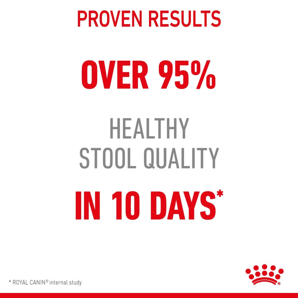 Royal Canin Feline Digestive Gravy 85g