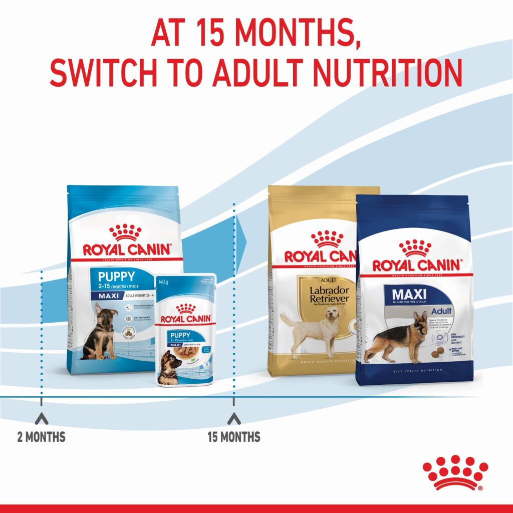 Royal Canin Dog Maxi Puppy