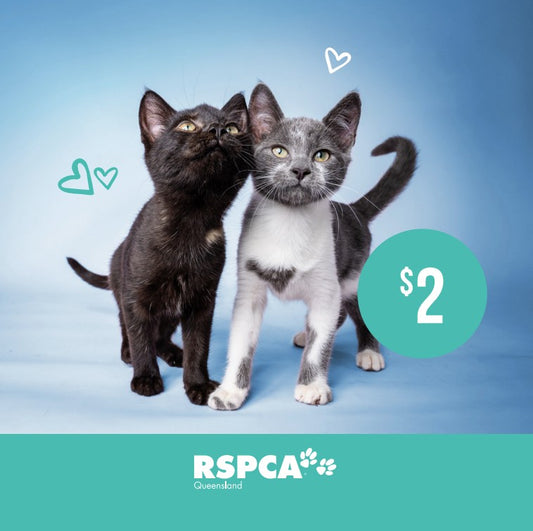 Christmas Donation $2