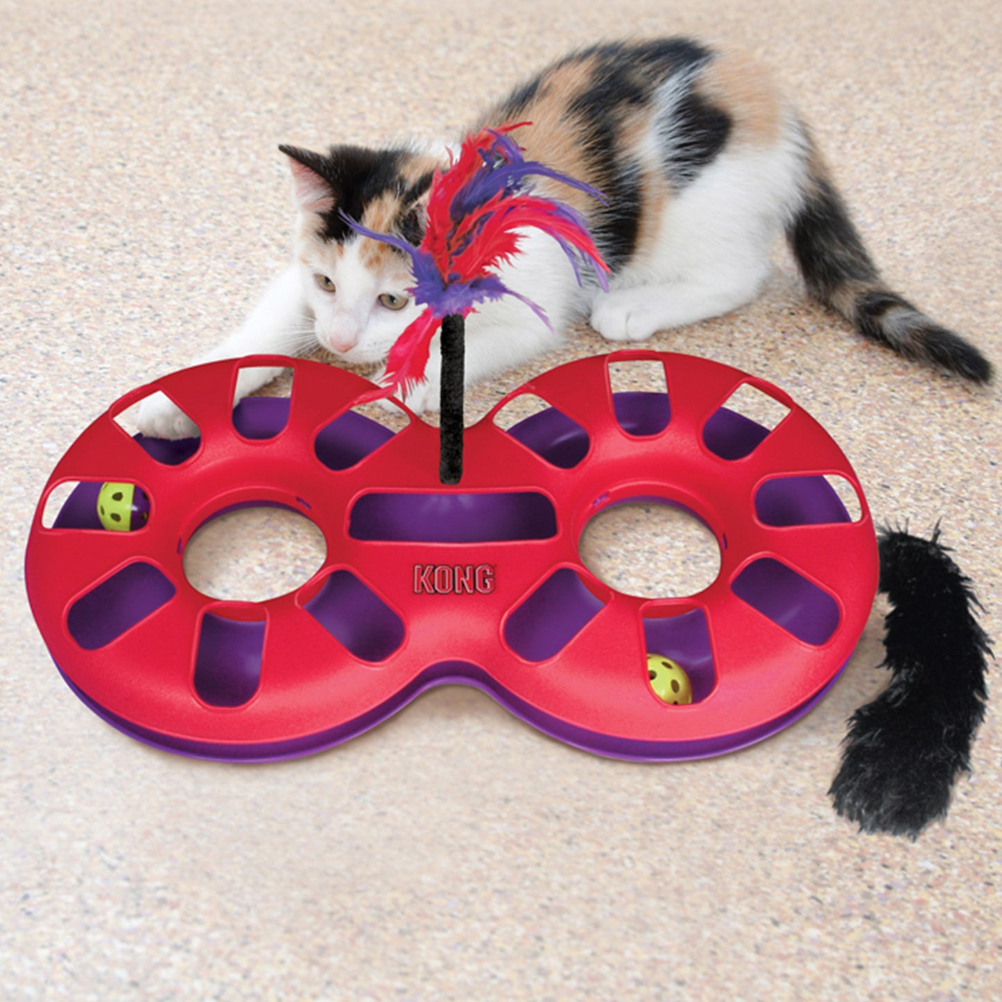 KONG Cat Eight Track