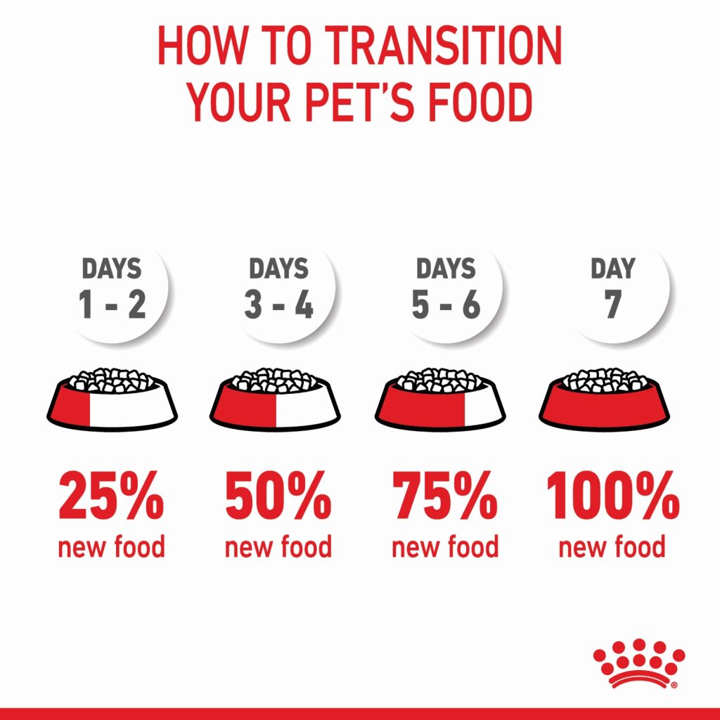 Royal Canin Dog Maxi Puppy
