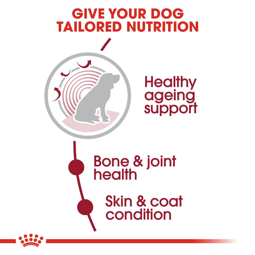 Royal Canin Dog Medium Ageing 10+ - 15kg