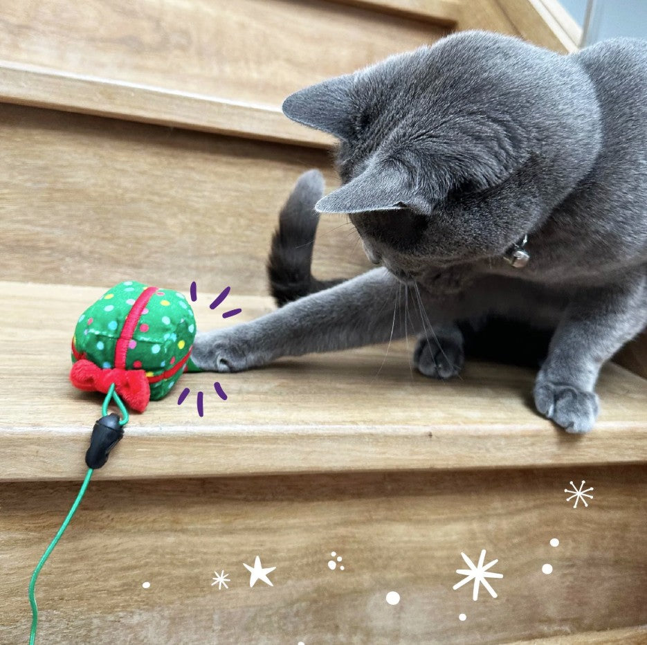 Kitty Christmas Swap n' Play Wand 47cm