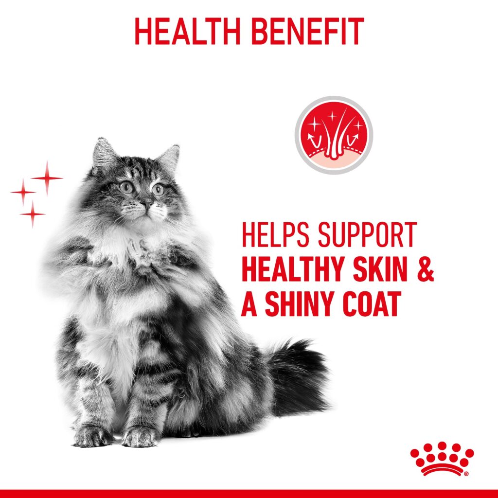 Royal Canin Feline Hair And Skin 2kg