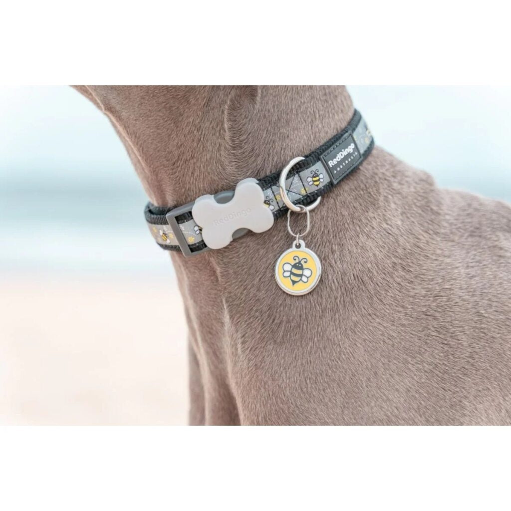 Red Dingo Dog Collar Bumble Bee Black XSMALL