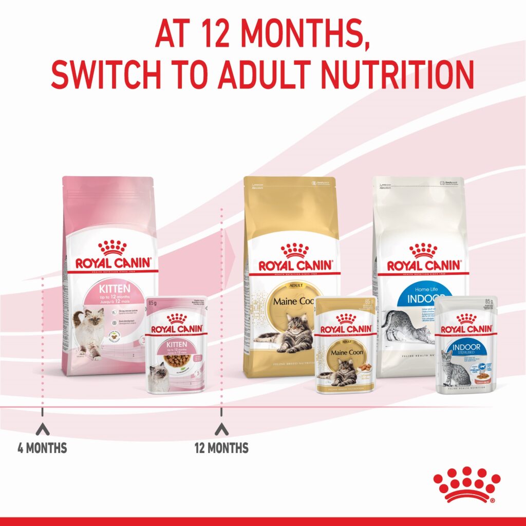 Royal Canin Kitten Gravy 85g