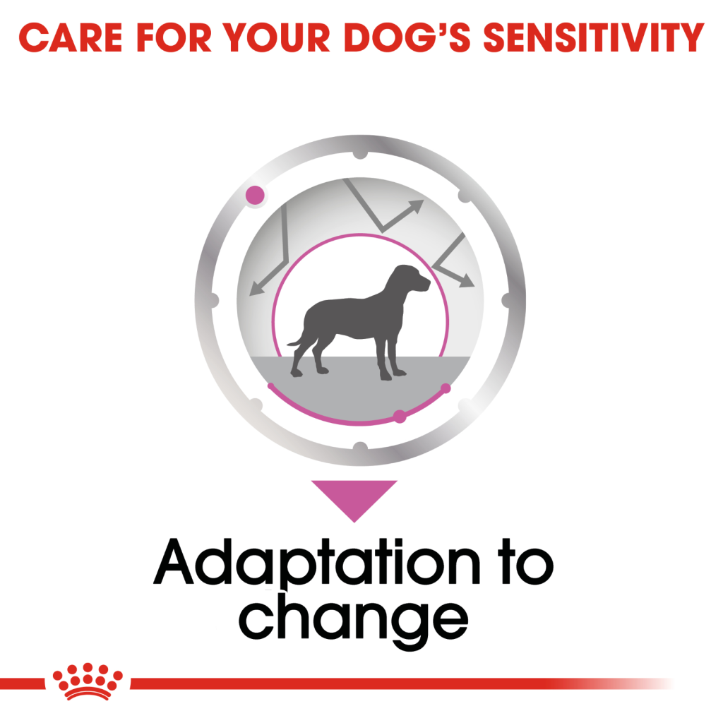 Royal Canin Canine Relax Wet Food 85g