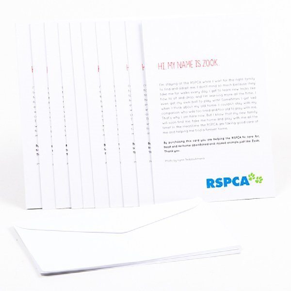 RSPCA Christmas Cards Dog- Zook 10 Cards & Envelopes