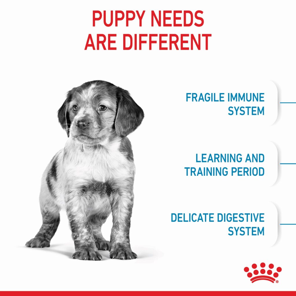 Royal Canin Dog Medium Puppy