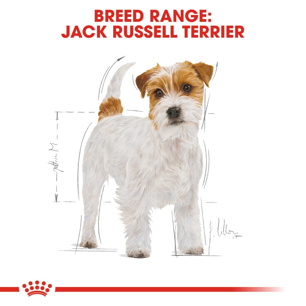 Royal Canin Dog Jack Russell Terrier 3kg