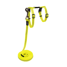 AlleyCat Harness And Lead Set Dayglo