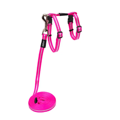 AlleyCat Harness And Lead Set Pink