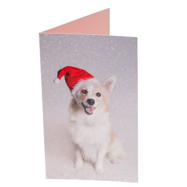 RSPCA Christmas Cards Dog Collection 10 Cards & Envelopes