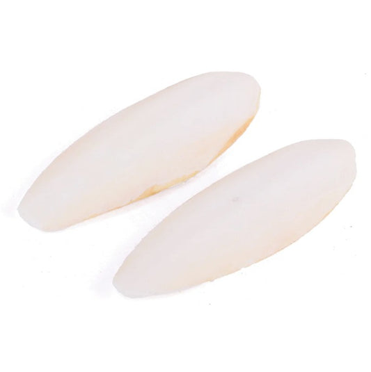 Bird Treat - Cuttlebone Natural 2 Pack - Small