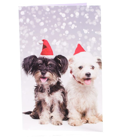 RSPCA Christmas Cards Mixed Dog 10 Cards And Envelopes