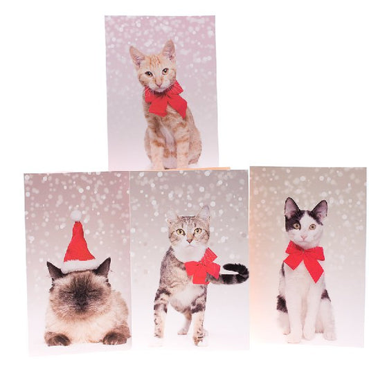 RSPCA Christmas Cards Mixed Cat 10 Cards And Envelopes