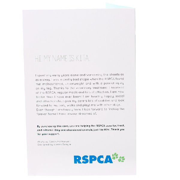 RSPCA Christmas Cards Dog Kita 10 Cards And Envelopes