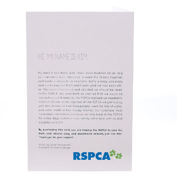 RSPCA Christmas Cards Dog Kim 10 Cards And Envelopes