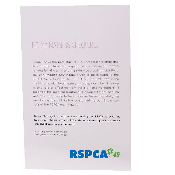 RSPCA Christmas Cards Cat Checkers 10 Cards And Envelopes