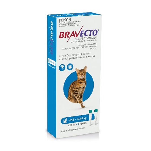 Bravecto Spot On Cats Blue 2.8 to 6.25kg 2 Pack