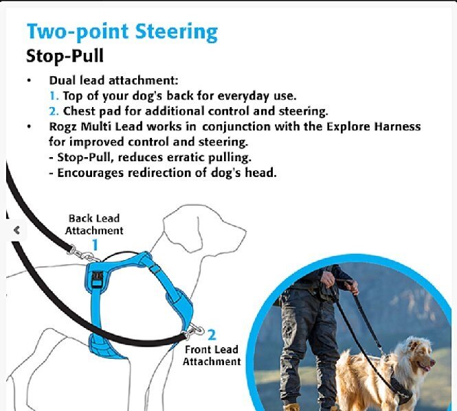Explore Dog Harness Black EXTRA LARGE
