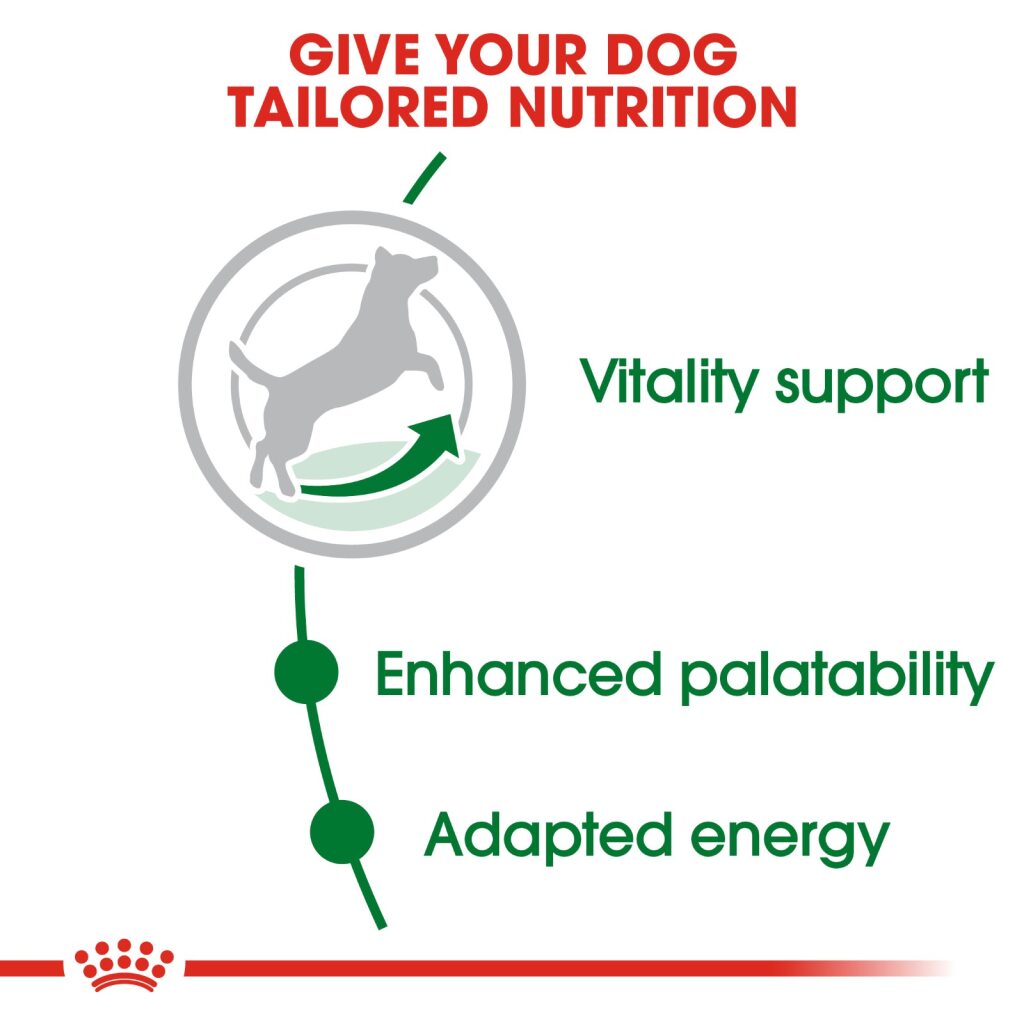 Royal Canin Dog Mini Mature 2kg