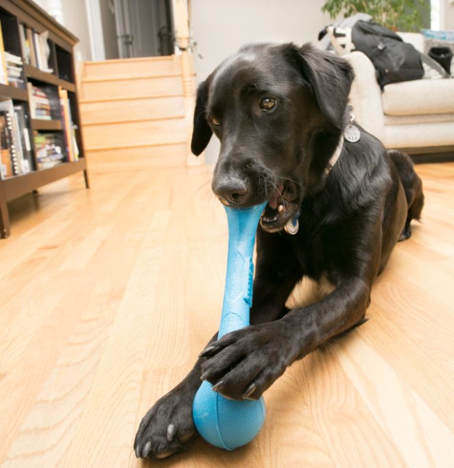KONG Squeakstix Dog Toy - Medium