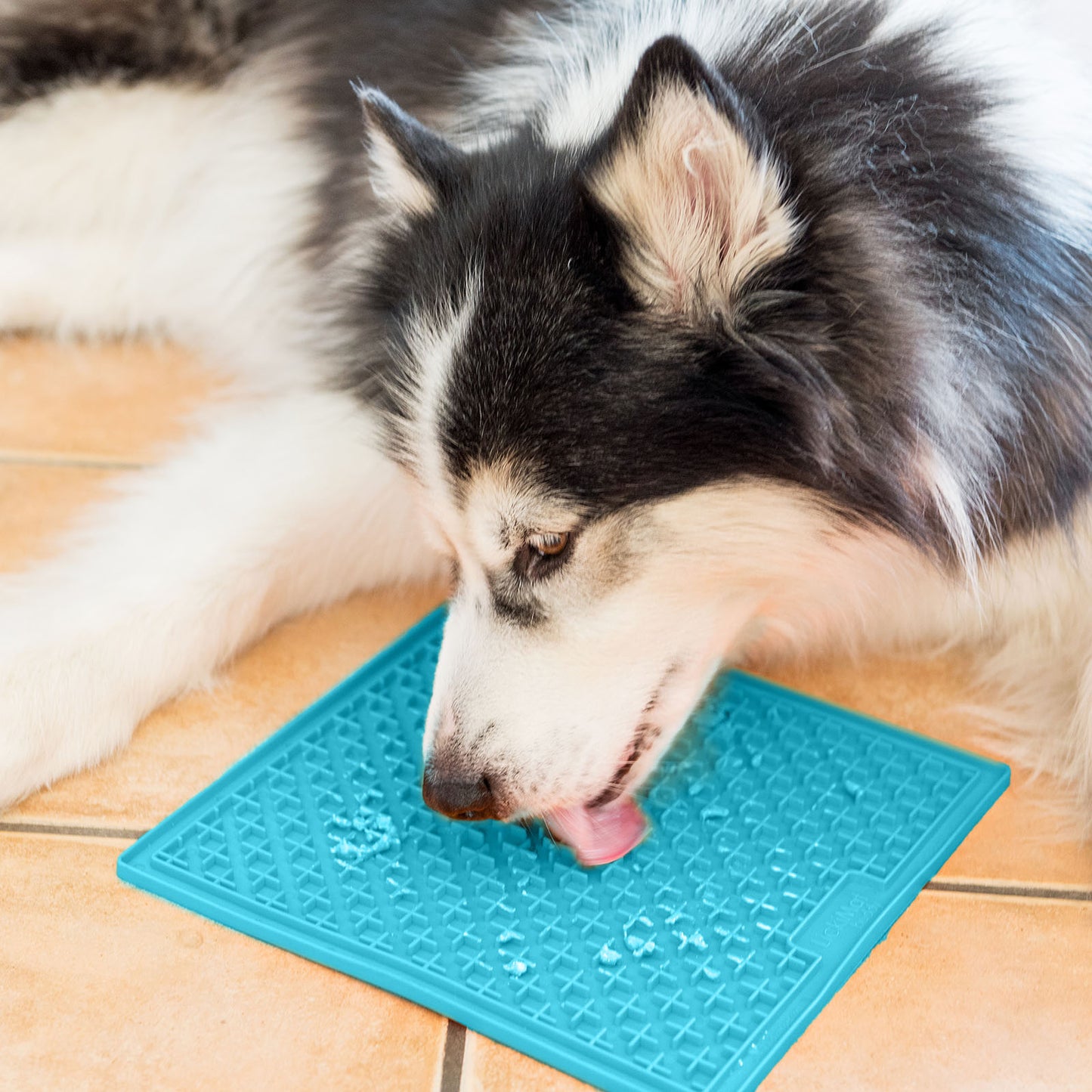 Lickimat Buddy for Dogs Turquoise