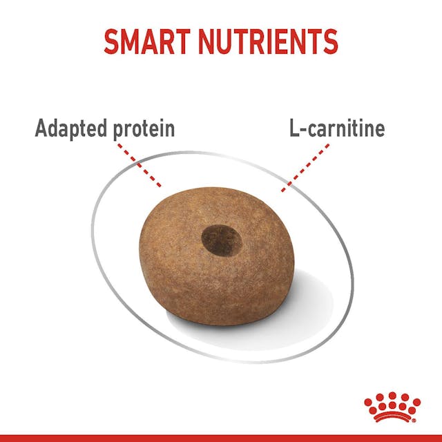Royal Canin Dog Medium Light Weight Care