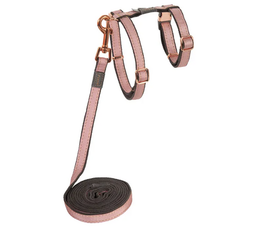 Rogz UrbanCat Harness & Lead Set Pink Blush Small