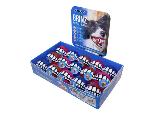 Rogz Ginz Ball Medium Various Colours