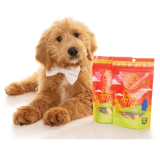 Pawthy Mix Doggy Lollies 100g