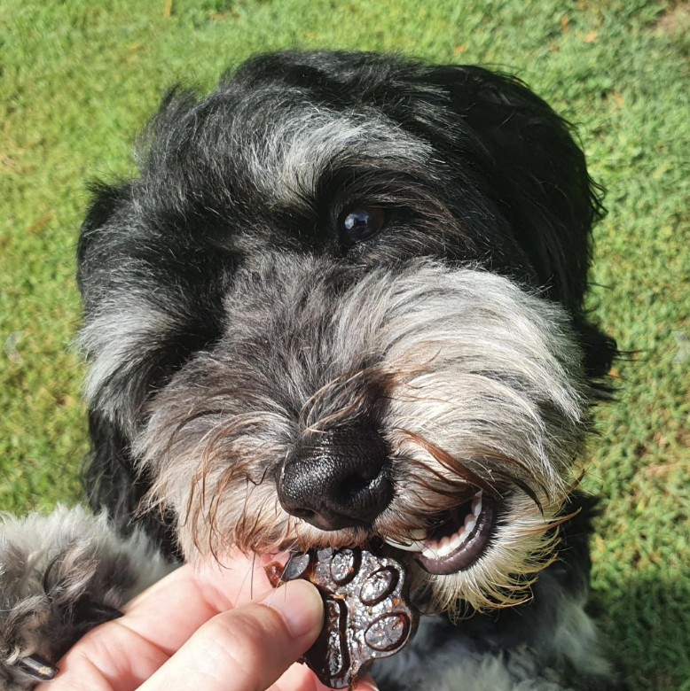 Doggy Jelly Strawberry Superfood Mix 100g