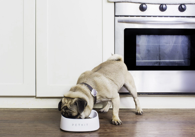Petkit Fresh Smart Weight Bowl White