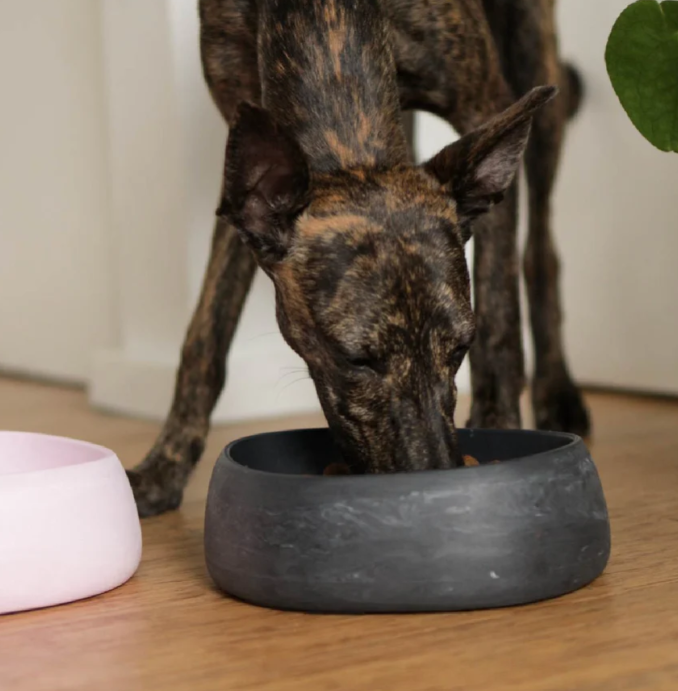 Kazoo The Better Bowl Charcoal Black