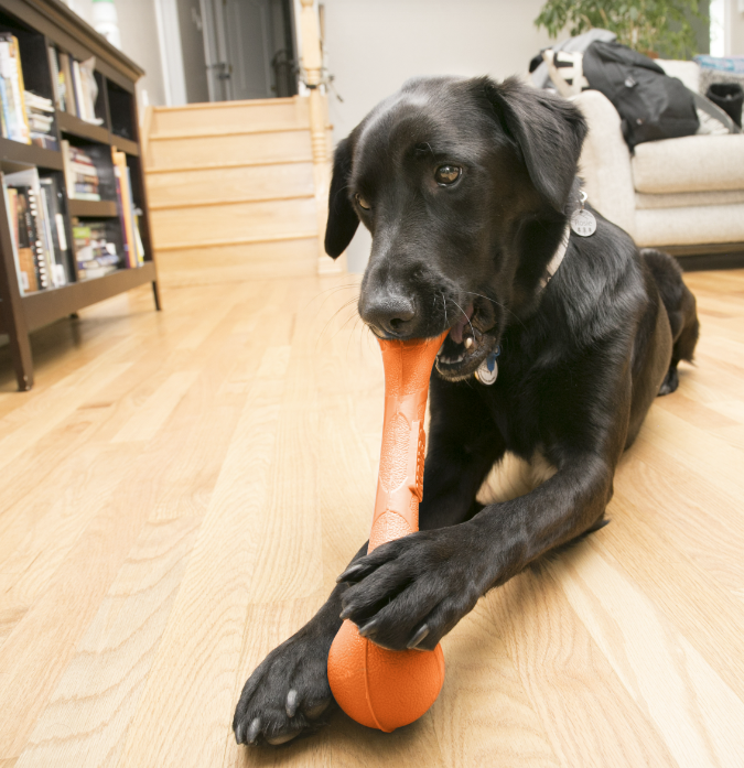 KONG Squeakstix Dog Toy Large