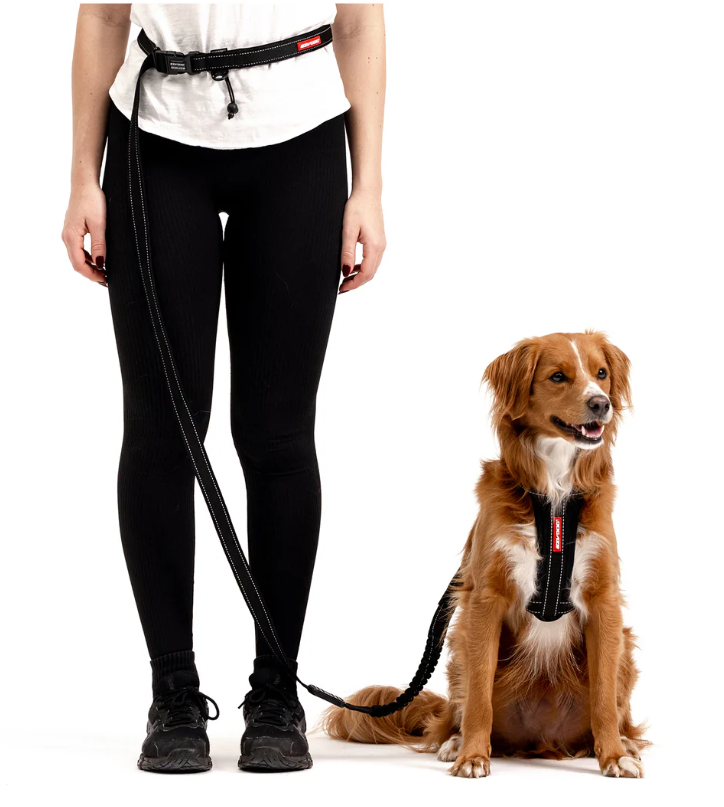 EzyDog Leash Road Runner Purple 25