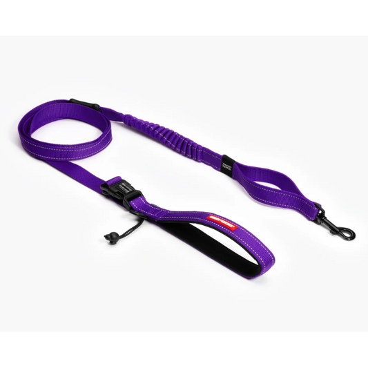 EzyDog Leash Road Runner Purple 25
