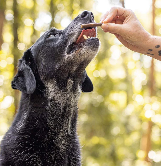 All Barks Aussie Mini Snags Beef & Superfood Dog Treats 110g (Approx 20)