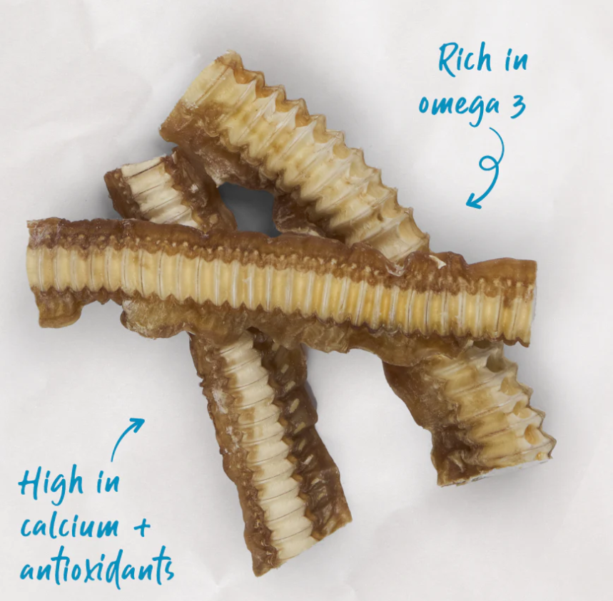 Kazoo Prime Cuts Shark Cartilage 400gm