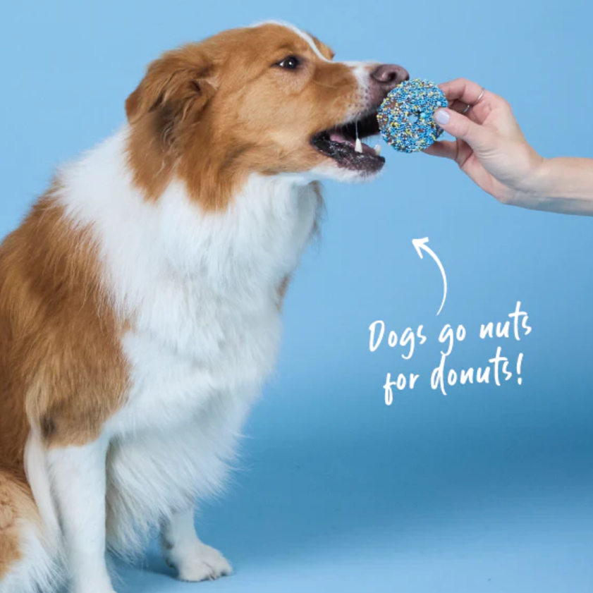 Kazoo Barneys Barkery Dog Donut Biscuit - Blue 36gm