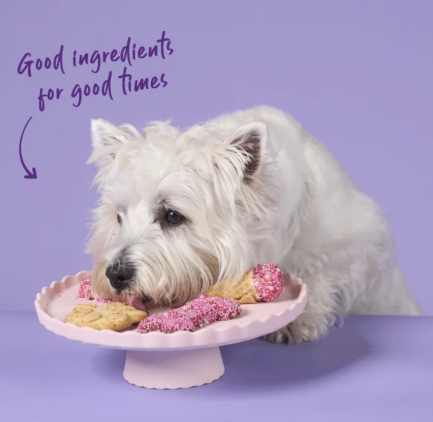 Kazoo Barneys Barkery Dog Ice Cream Cone - Pink 20gm