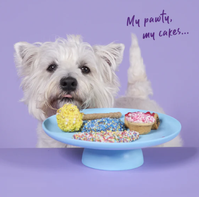 Kazoo Barneys Barkery Dog Cake Pop - Yellow 67gm