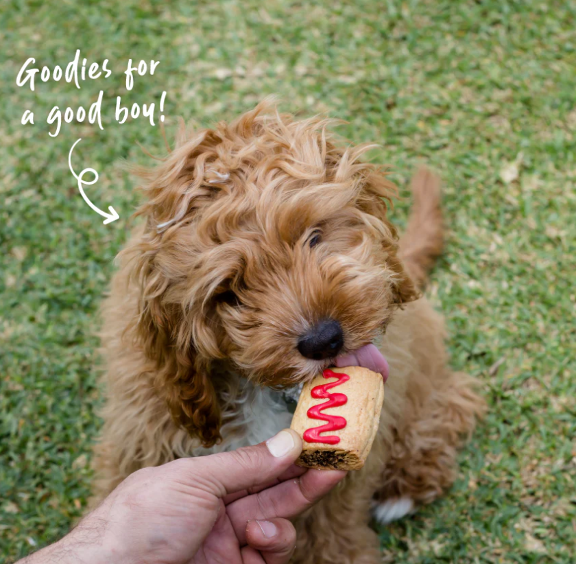 Kazoo Barneys Barkery Dog Pawty Sausage Roll 45gm